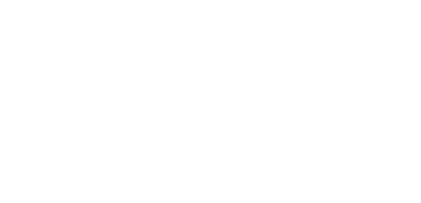 about the brand - brandcampagency.com